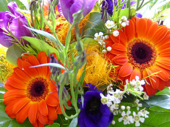 bloemen